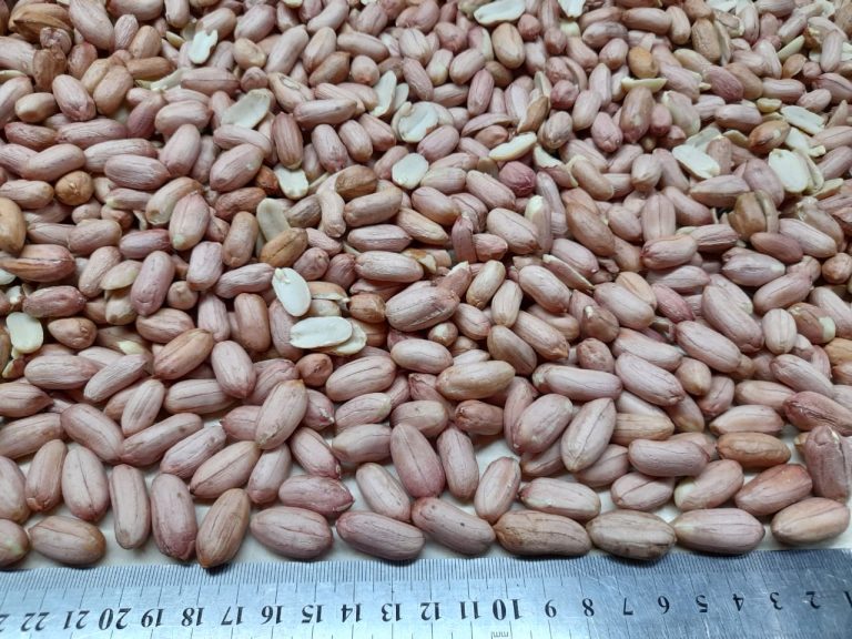 Peanuts.varieties..